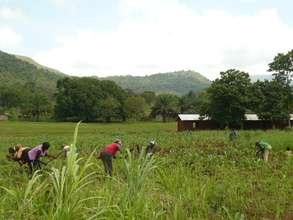 Women on communal farm