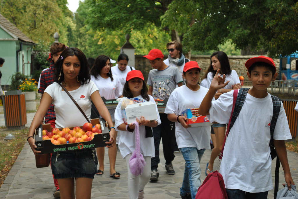 Provide education for talented Roma children