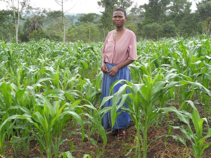 Restore hope for 200 Women in Rural Mukono
