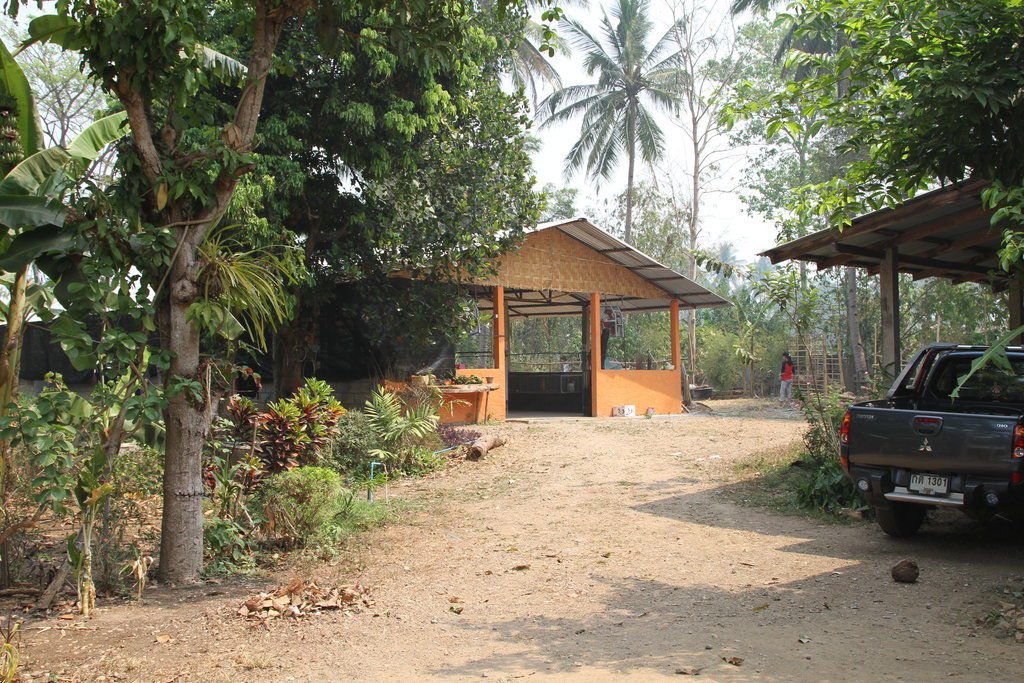Delivering protein to children in Thailand
