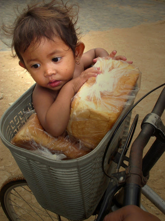 Buy a Bus for Cambodian Students