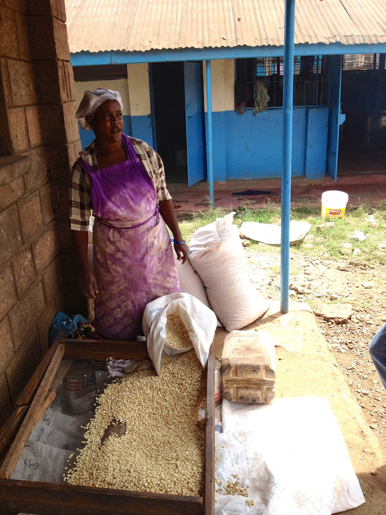 Feed Lunch to 1000 Students in the Slums of Kenya