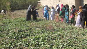 Training in the field