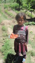 Child with strawberries