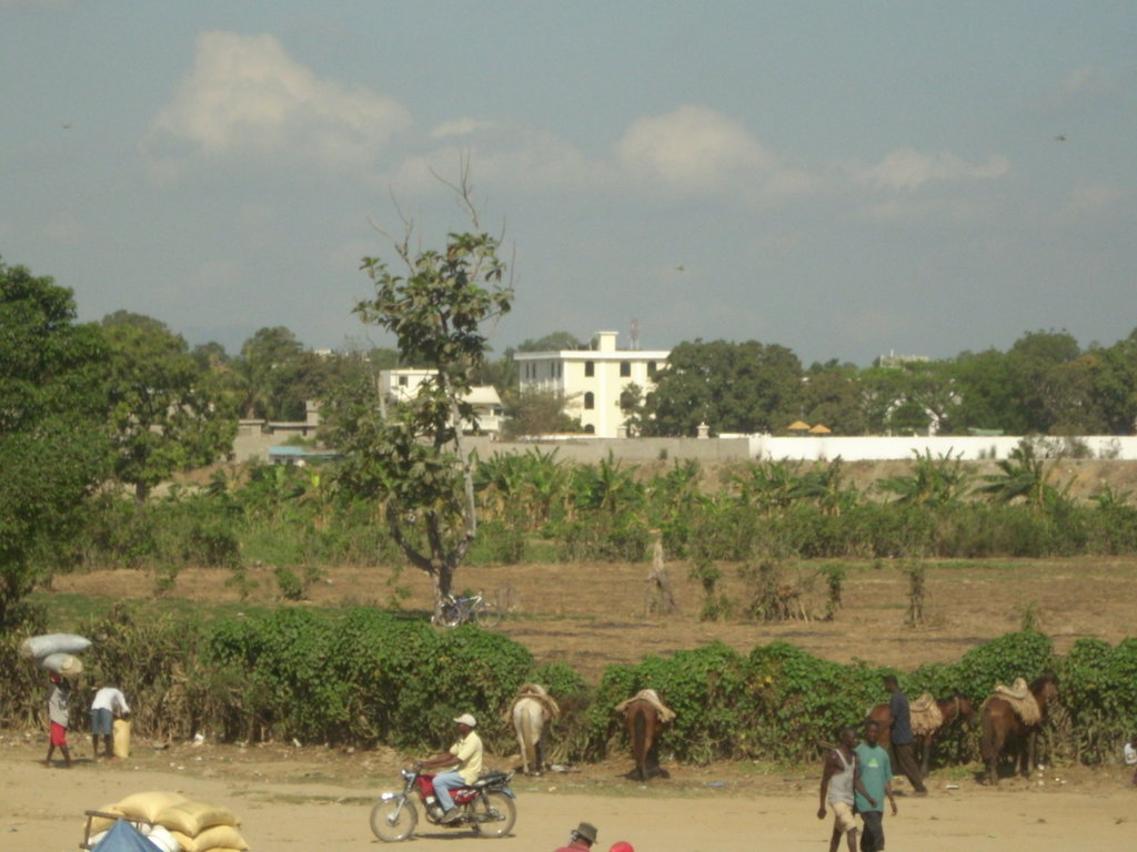 Position Orphans in Haiti to be Radiant Readers