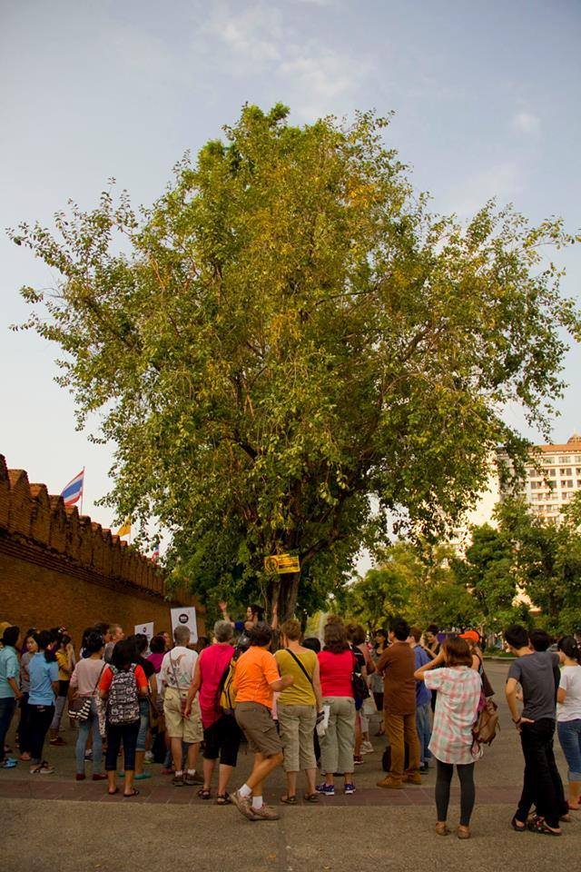 CharityWalk ChiangMai2