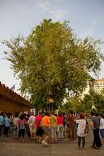 CharityWalk ChiangMai2