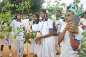 "An Environment Day Initiative"