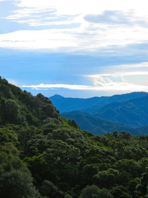 Assist 250 Remote Medical Care Clinics in Panama