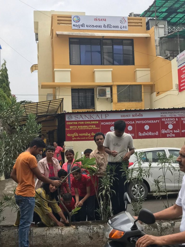 Tree plantation