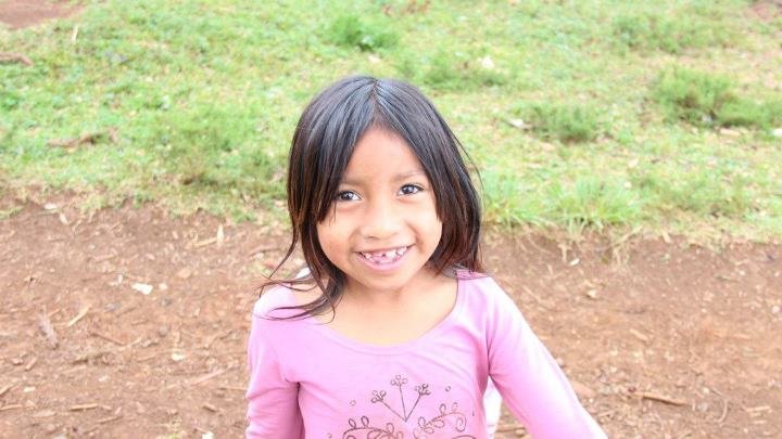 Protect 40,000 acres of Atlantic Rainforest.