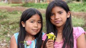 Protect 40,000 acres of Atlantic Rainforest.