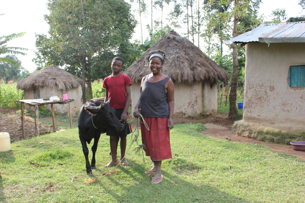 Buy a Cow to Educate a HS Student in Rural Kenya