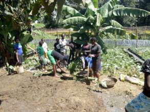 students helping with chores in the garden