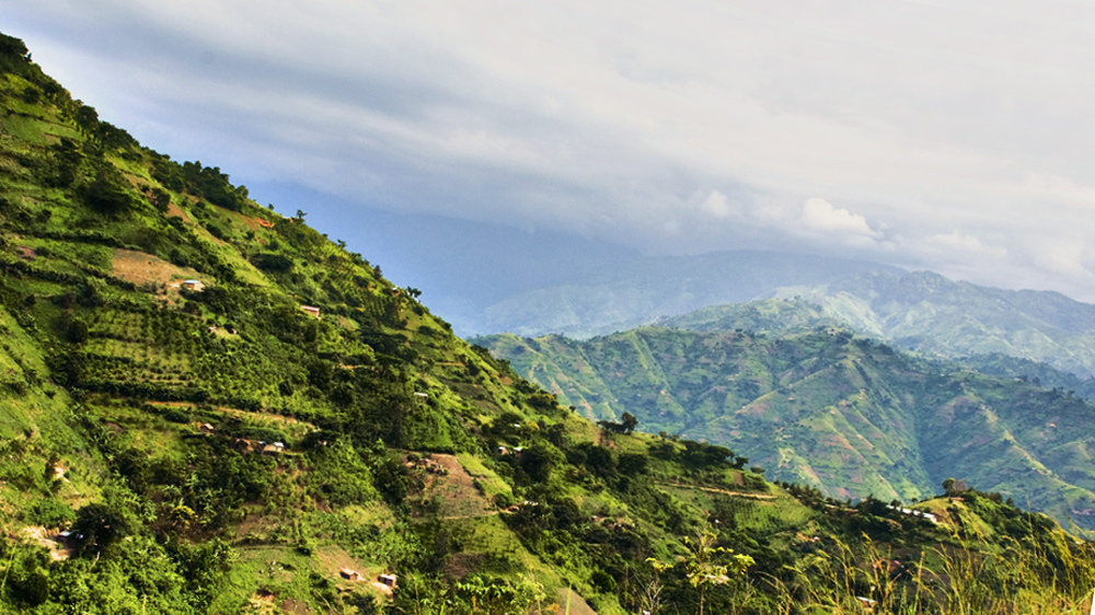 Rwenzori Rural Health Services - an FCDE Partner