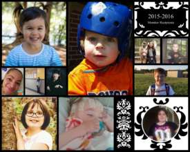 2015-16 Monitor Recipients