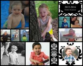 2015-16 Monitor Recipients