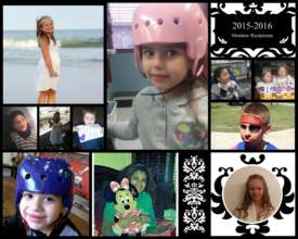 2015-16 Monitor Recipients