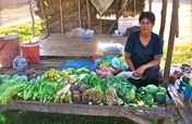 Send children from 30 Cambodian families to school
