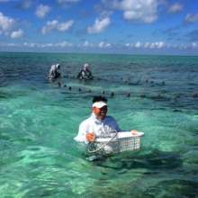 Fly Fishing students assist research project