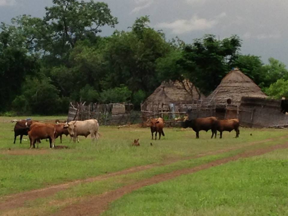 Reports on Give 5 Villages in Senegal Access to Healthcare GlobalGiving