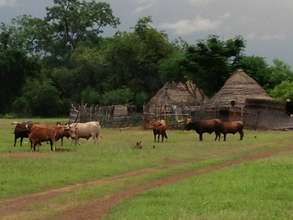 Fongoli village during the rainy season in Senegal