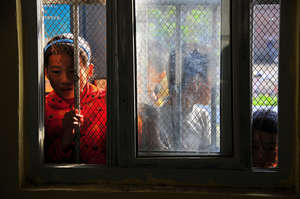 Peek Through A Window