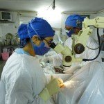 Provide healthcare to tribal women of 900 villages