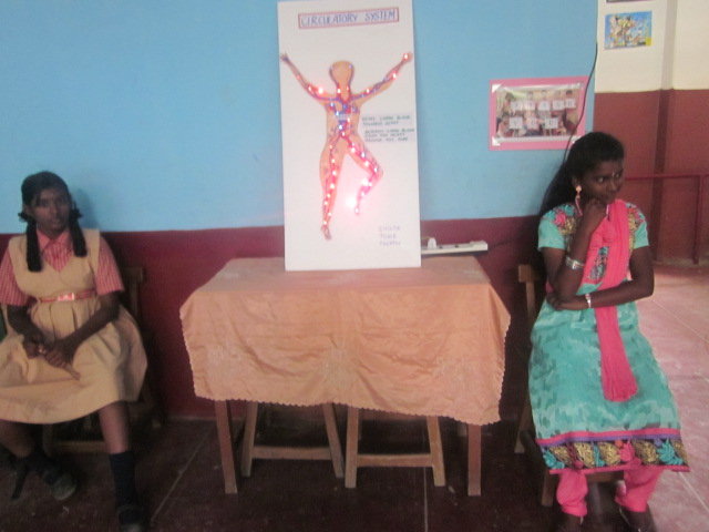 Circulatory System project done by Vi Std students