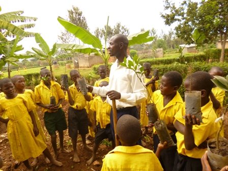 Fruit and Shade Trees for Children in 10 Schools