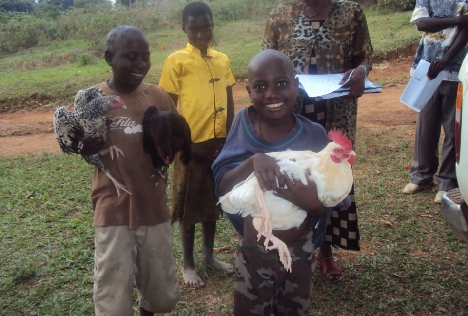 Chickens for 100 Orphans in Rural Buwunga