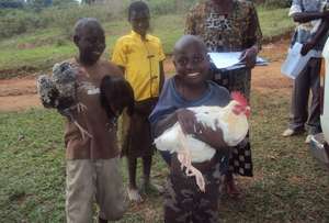 Chickens for 100 Orphans in Rural Buwunga