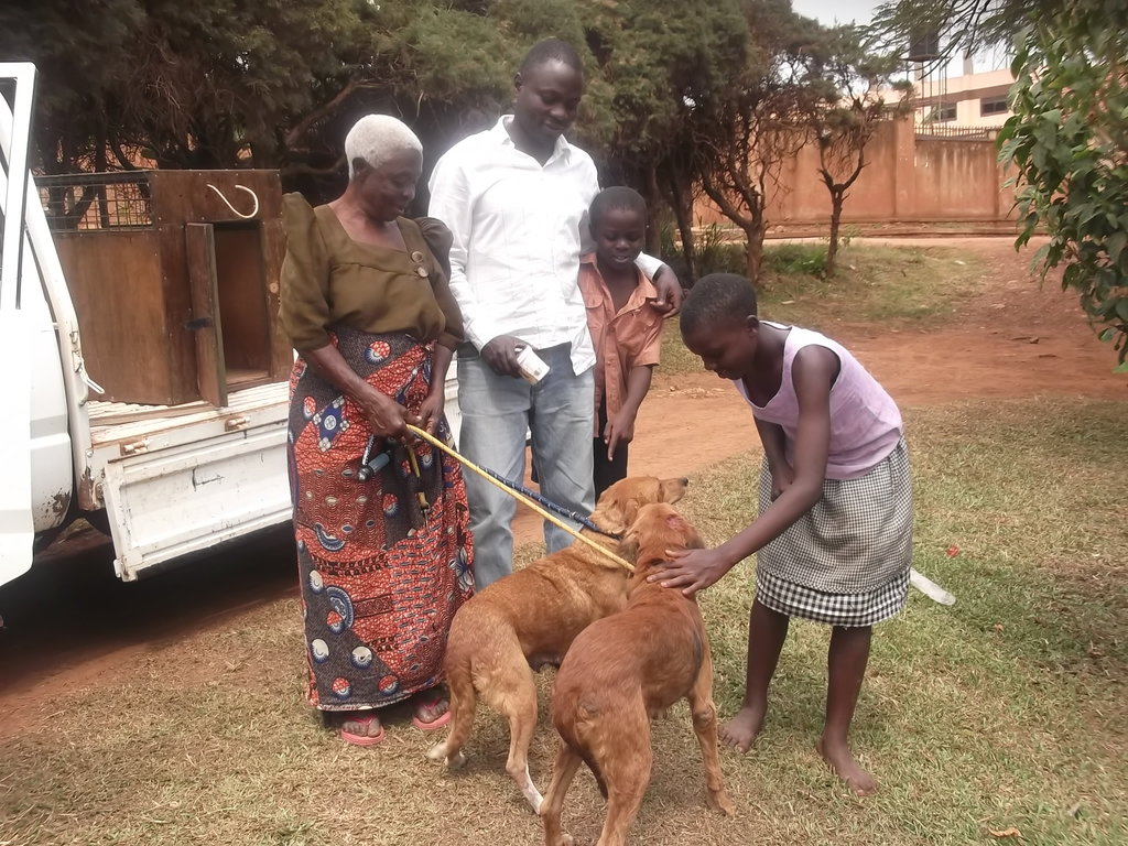 Partner w/AKI to Help Animals in up to10 Countries