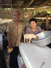 AKI supports Kingston Community Animal Welfare