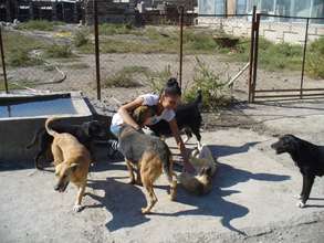 AKI supports Save the Animals-Armenia shelter