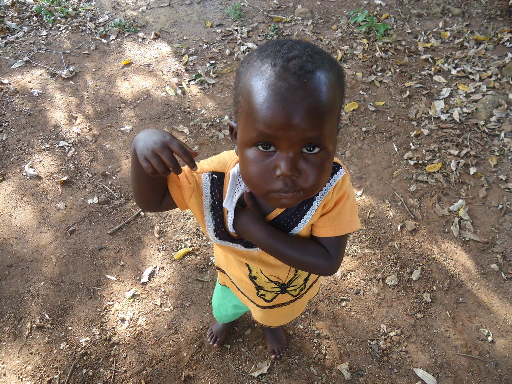 Poultry for 100 vulnerable women/girls in kenya.