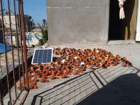 Solar lamps charging before distribution