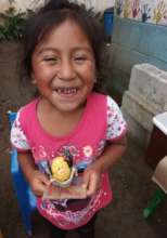 Learning the life cycle of a chick