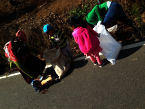 All collaborating in collecting garbage