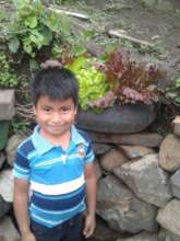 Victor has taken good care of his plants