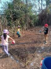 Preparing the land for planting