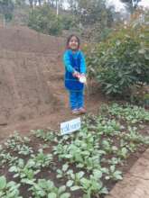 Obtaining planting results