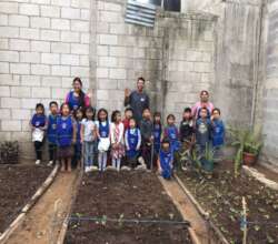 We also sow directly from the soil