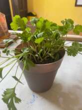 These were the results