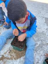 Some children planted in flower pots