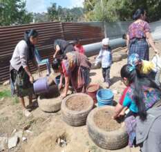 Using different planting methods