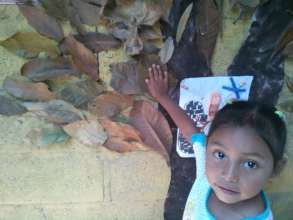 The tree made with dry leaves