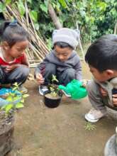 Watching the growth of plants