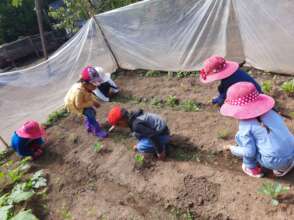 Caring for our plants