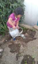 Now sowing what was sown